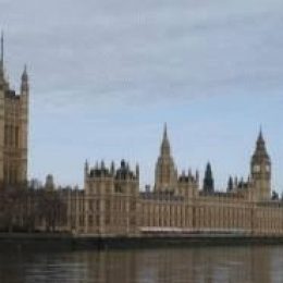 Парламент в Лондоне (Parliament) – как посетить здание Парламента